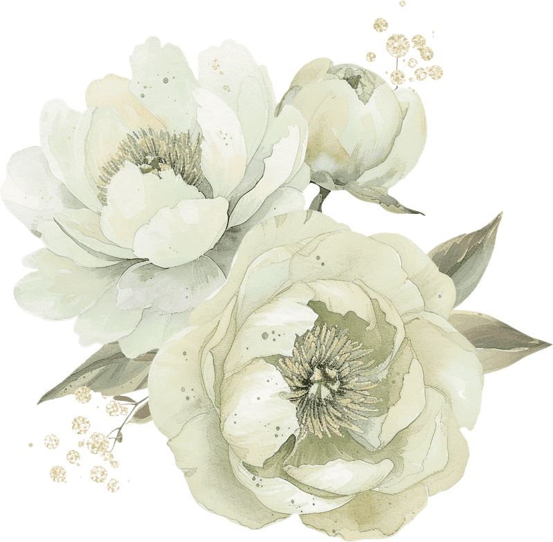 Peonies